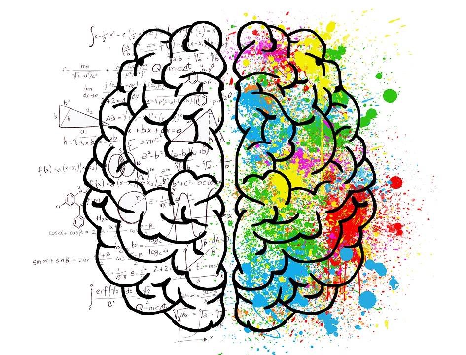 cerveau creativite neurosciences